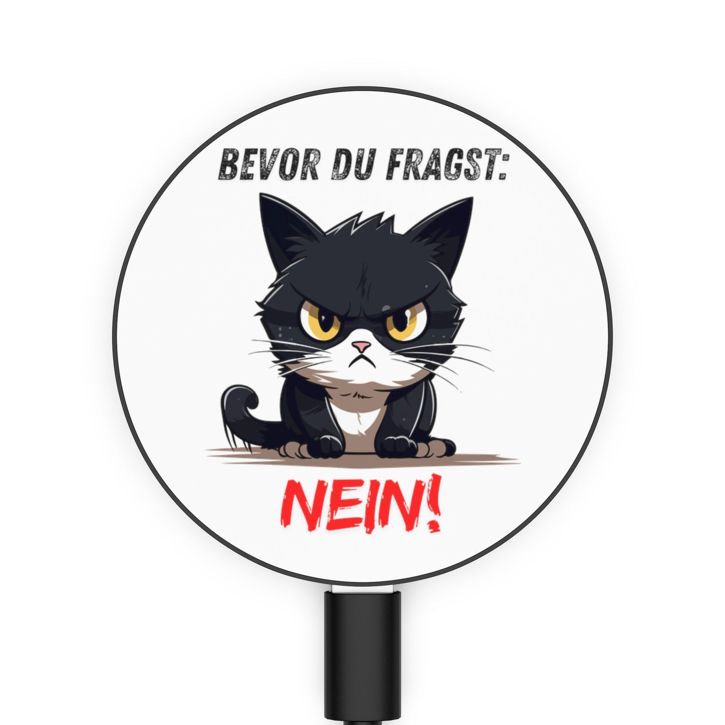 Bevor Du fragst: Nein! - Ladegerät