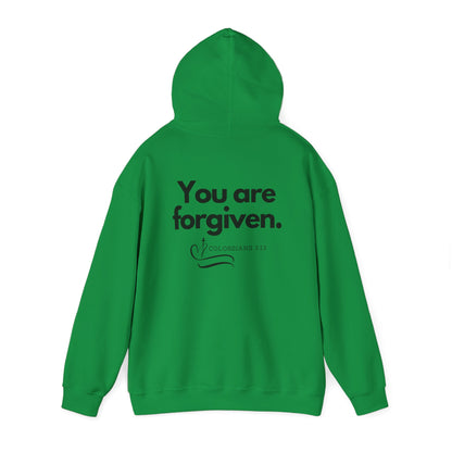 Unisex Hoodie - You are forgiven