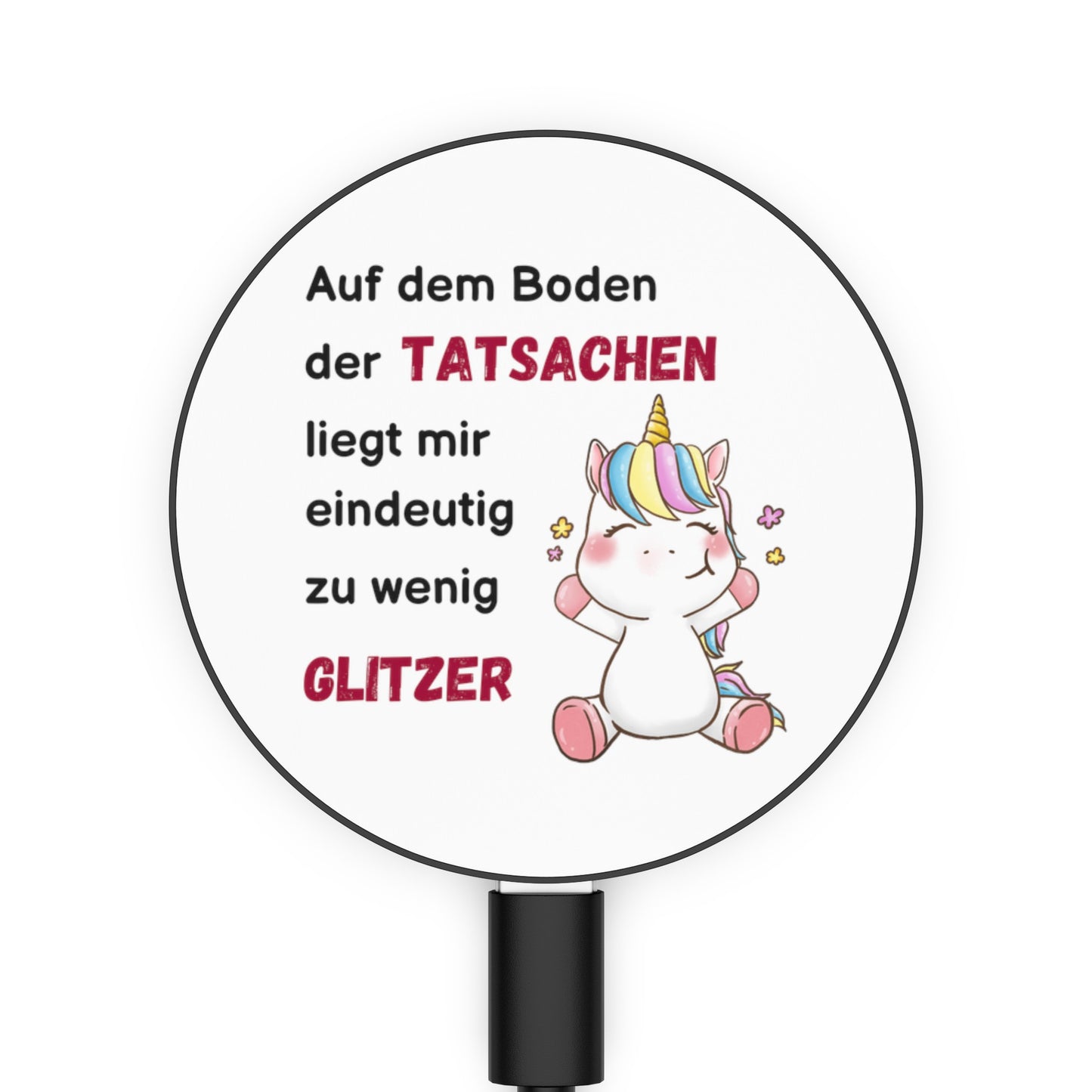 Auf dem Boden der Tatsachen - Ladegerät